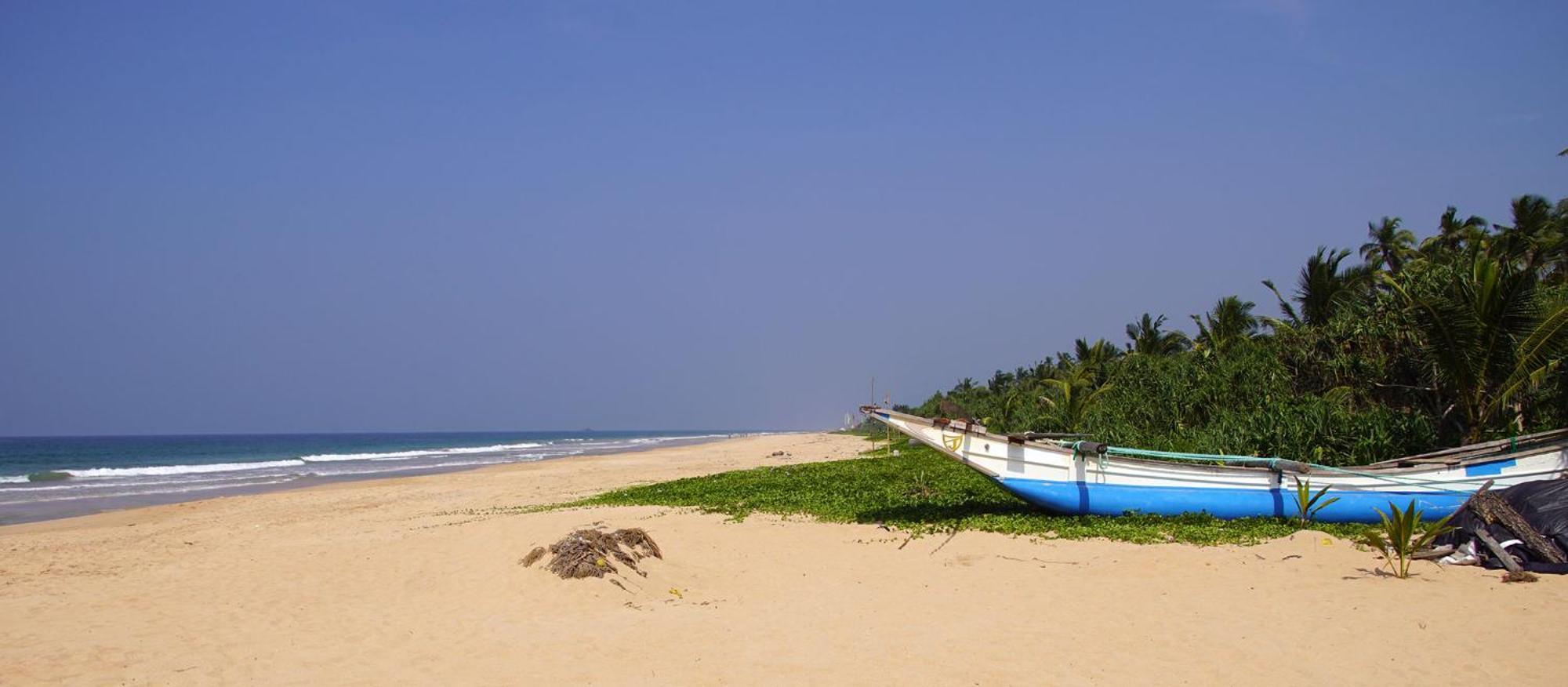 Sanda Eliya Resort بينتوتا المظهر الخارجي الصورة